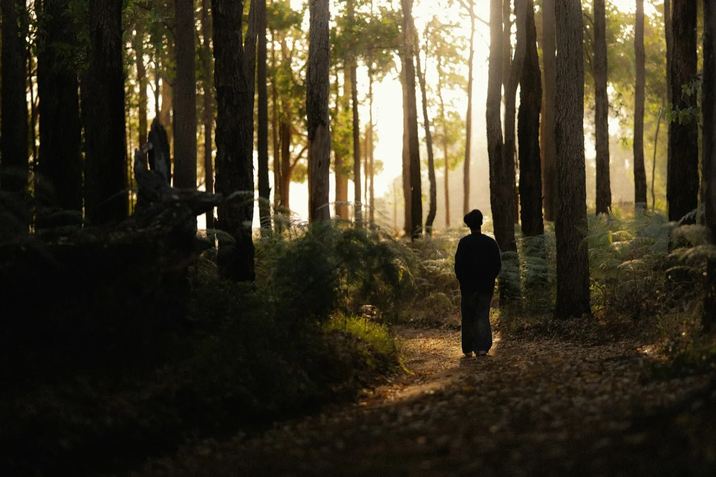 Morning Pages by voice — replacing the notebook with a 12-minute walk