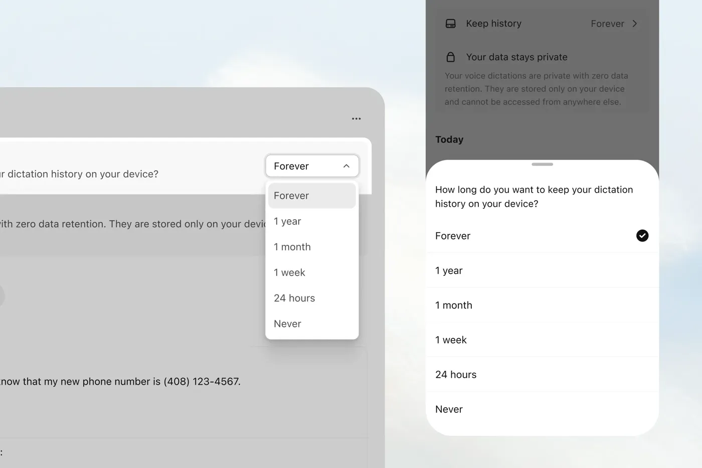 Typeless Keep history setting on desktop and iPhone with options Forever, 1 year, 1 month, 1 week, 24 hours and Never